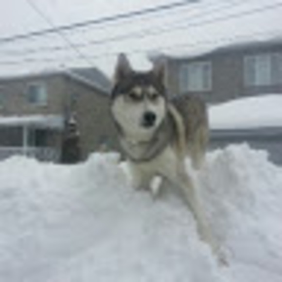 Meet your Posher, Peter - Picture 1 of 1